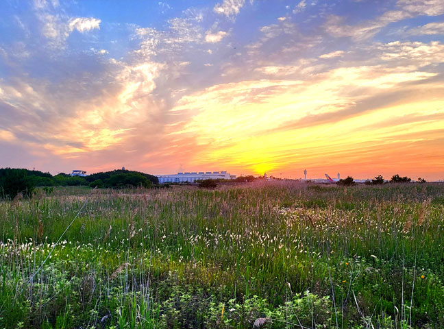 울타리의 눈물 – 인천공항 외곽보안사업소 현장 르포