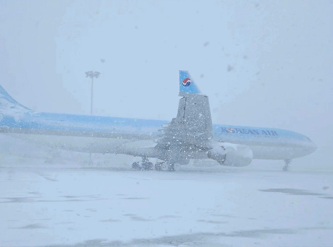 울타리의 눈물, 두 번째 이야기