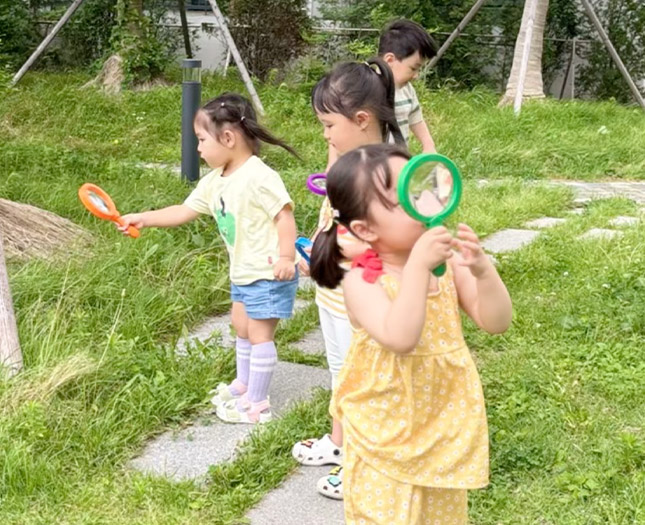 놀이의 권리, 자연 속에서 피어나다. 공간과 자료의 변화로 열린 창의의 세계